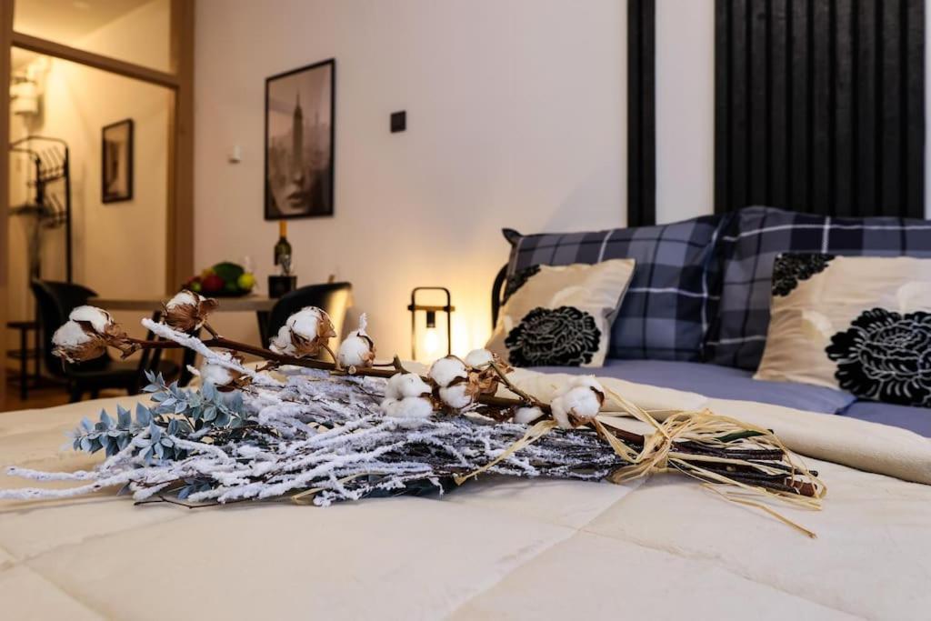 Charm & Cozy Ravnice Appartamento *